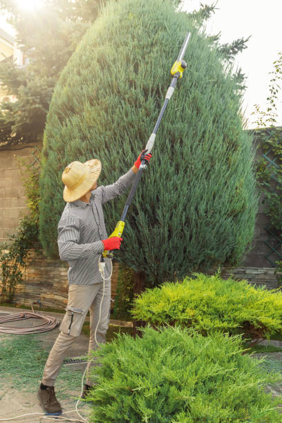 Best Pest Control for Lawns  in Rahway, NJ